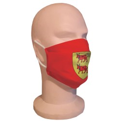 Masque de protection Drapeau Béarn