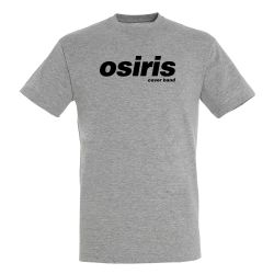 T shirt Logo GRIS